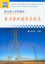 電力企業(yè)財務(wù)與成本
