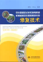 中小型混流式水輪發電機組機械檢修及主