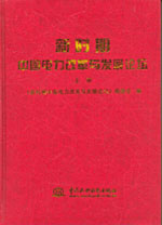 新時期中國電力改革與發展論壇（上、下