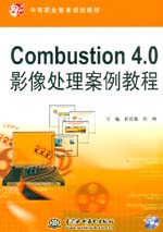 Combustion 4.0影像處理案例教程