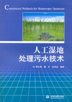 人工濕地處理污水技術