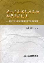 西部劣質地基與基礎化學灌漿技術——第