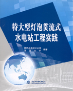 特大型燈泡貫流式水電站工程實踐