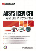 ANSYS ICEM CFD網(wǎng)格劃分技術(shù)實例詳解（贈D
