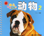 動(dòng)物2