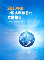 2013年度中國水利信息化發展報告