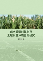 咸水灌溉對作物及土壤水鹽環境影響研究