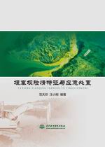 堰塞壩險情特征與應急處置