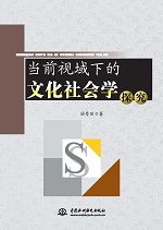 當前視域下的文化社會學探究