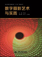 <b>數(shù)字攝影藝術(shù)與實踐（設計創(chuàng)新與實踐應</b>