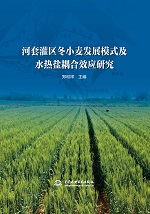 河套灌區(qū)冬小麥發(fā)展模式及水熱鹽耦合效