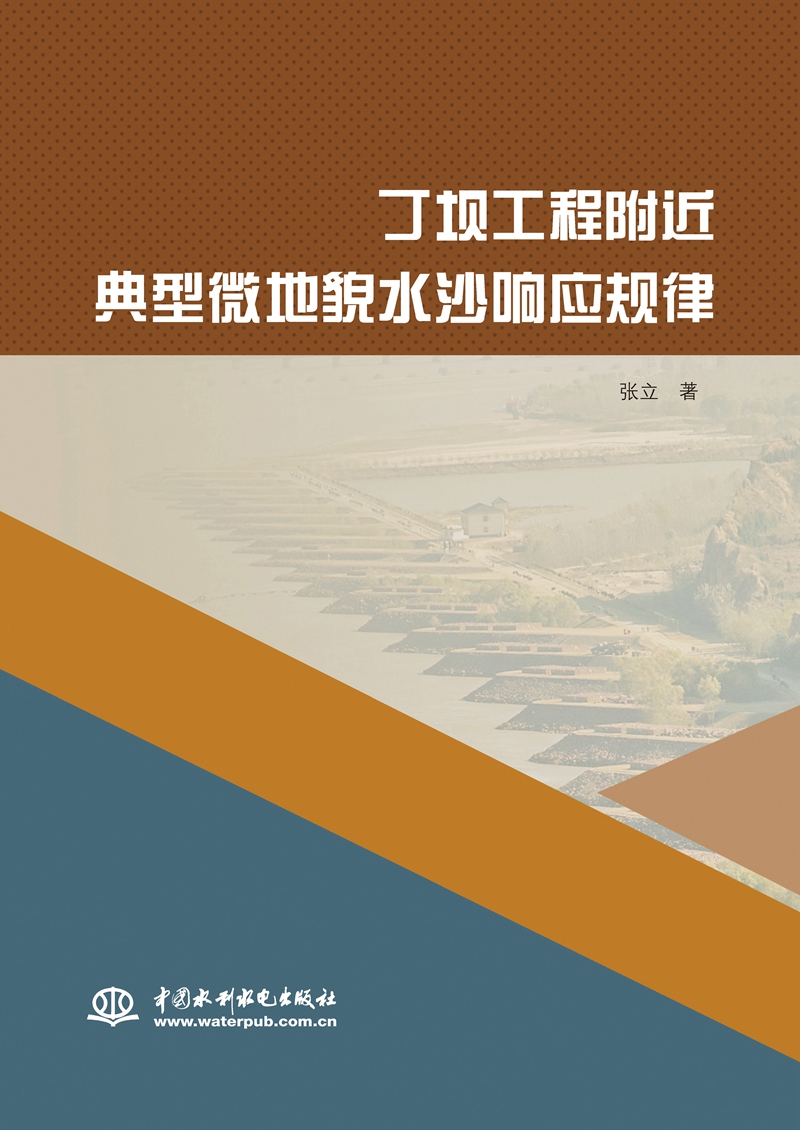 丁壩工程附近典型微地貌水沙響應規(guī)律