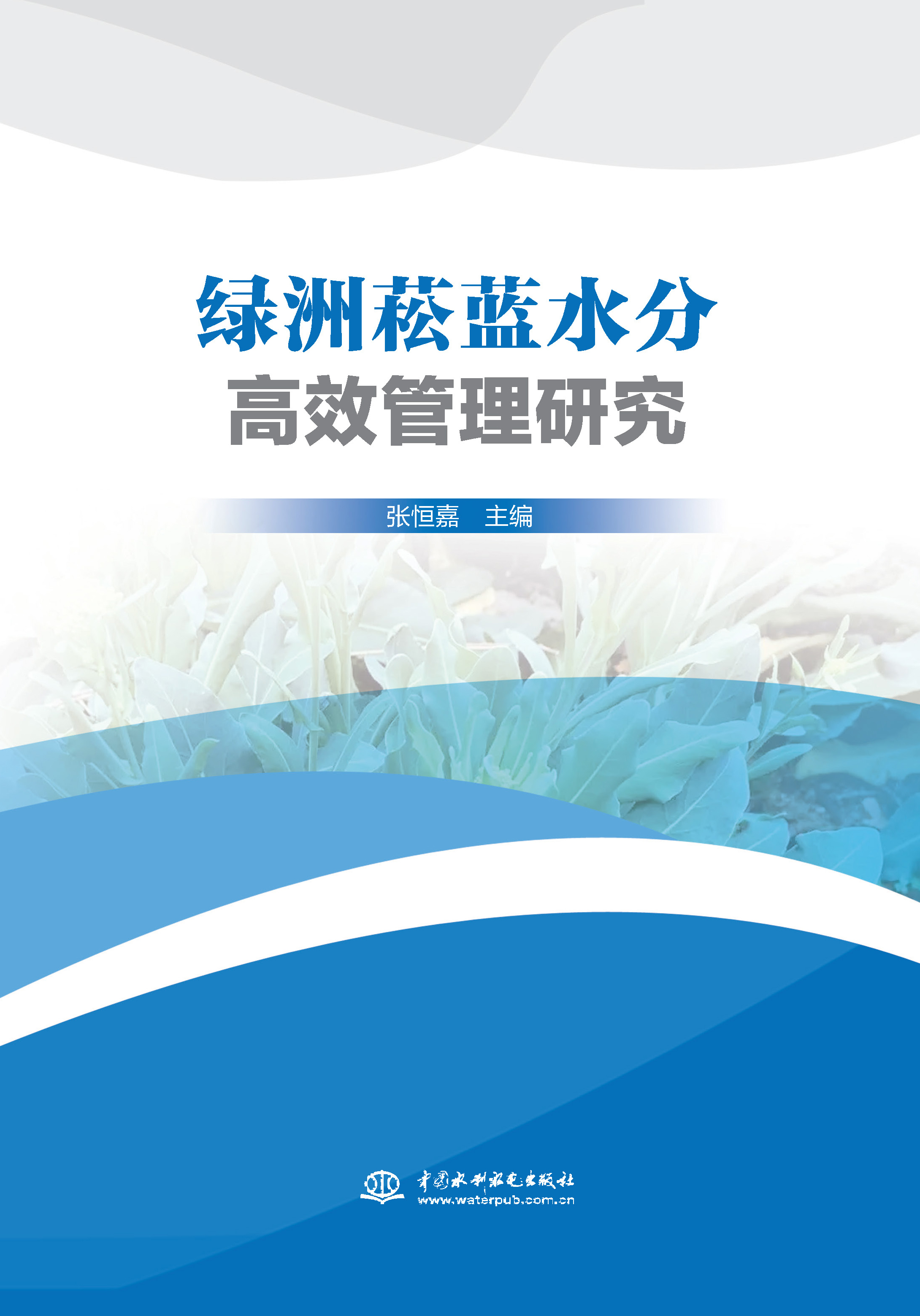 <b>綠洲菘藍水分高效管理研究</b>